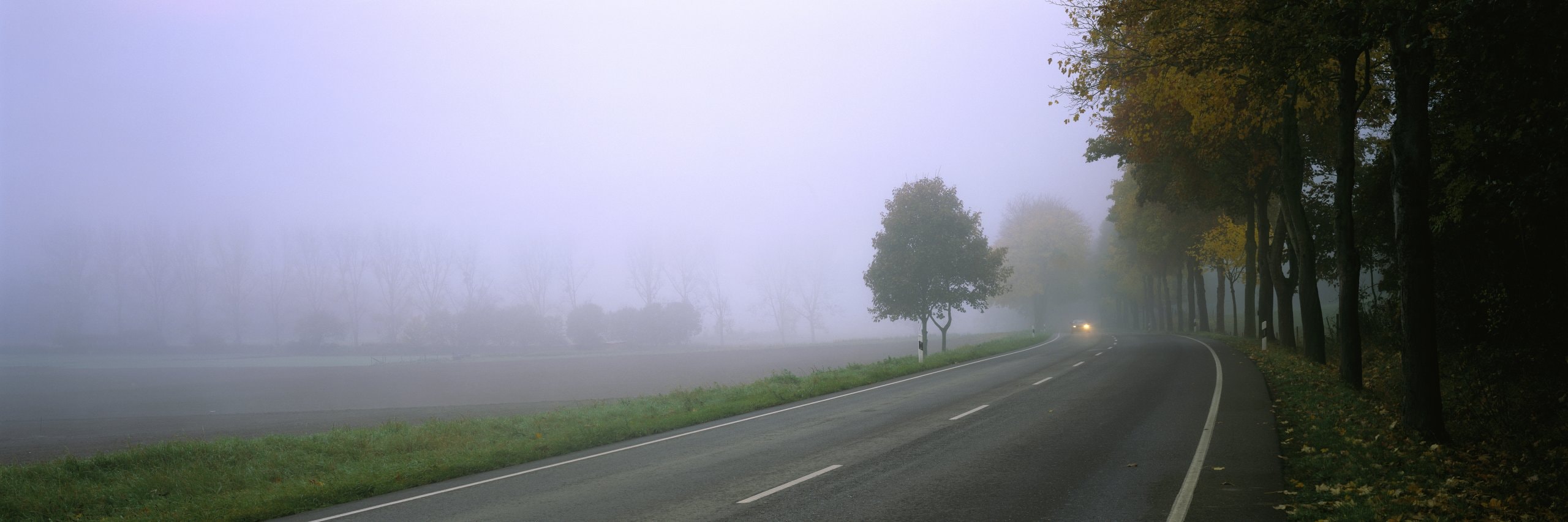 Optik-Latal-videni-v-mlze